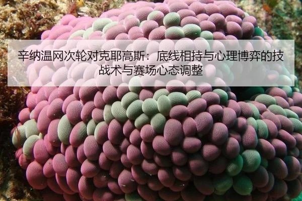 辛纳温网次轮对克耶高斯：底线相持与心理博弈的技战术与赛场心态调整