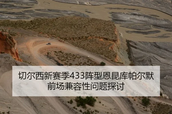 切尔西新赛季433阵型恩昆库帕尔默前场兼容性问题探讨